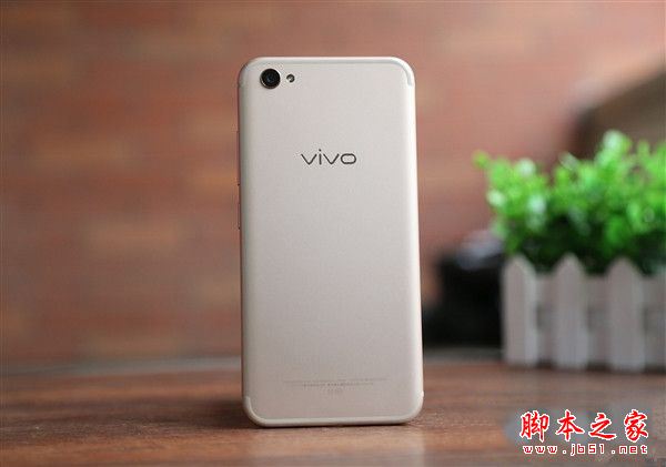 vivo