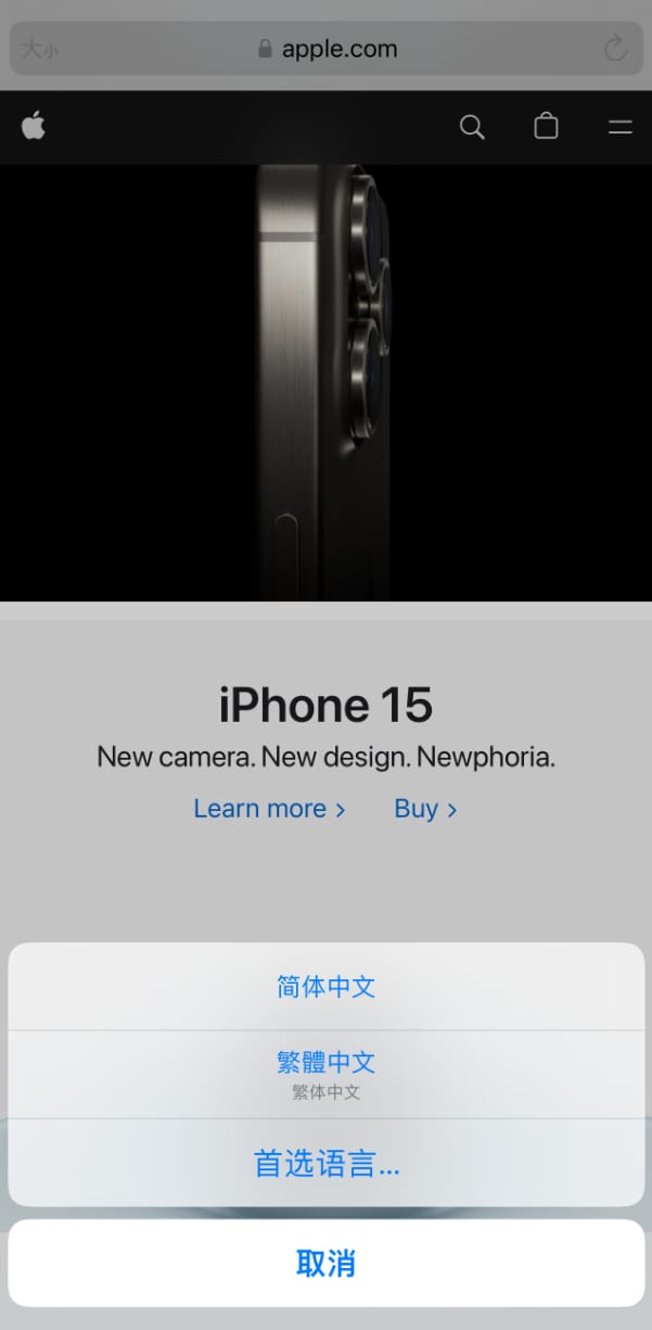 iPhone翻譯語言