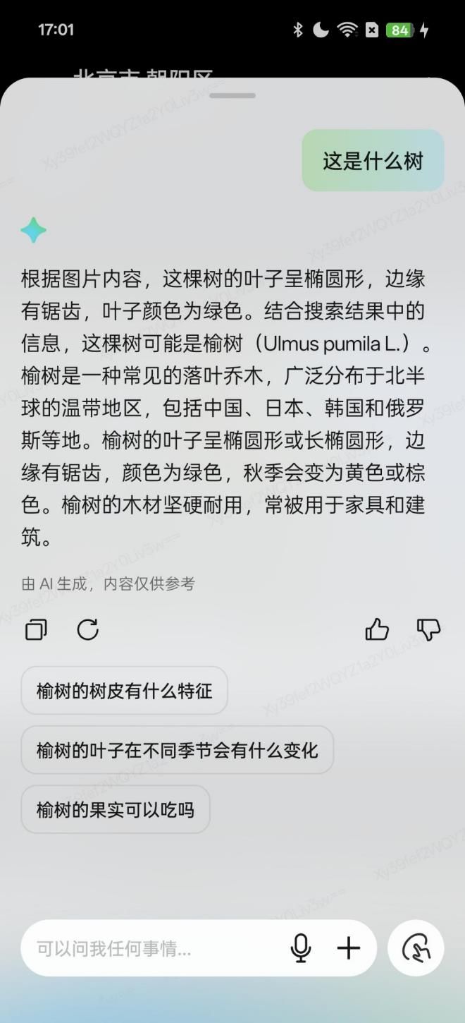OPPO Reno13 Pro評測