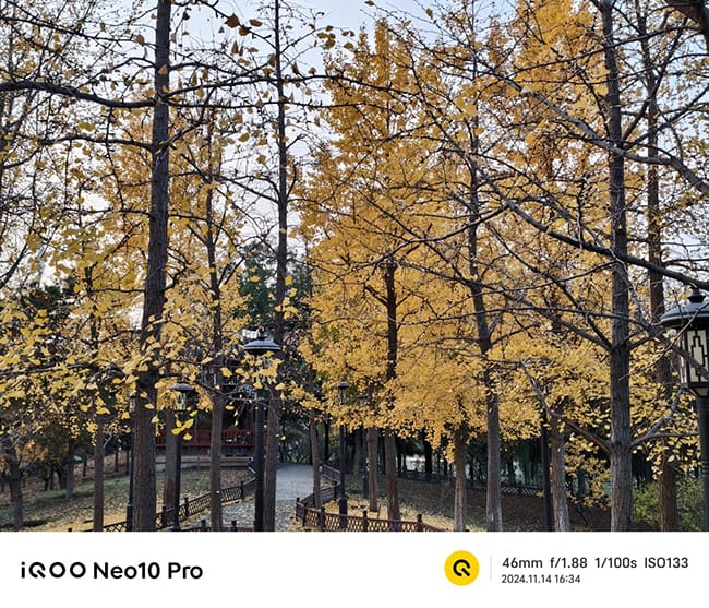 Neo10Pro评测