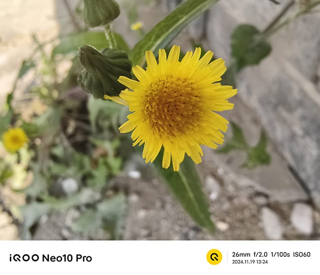 Neo10Pro评测