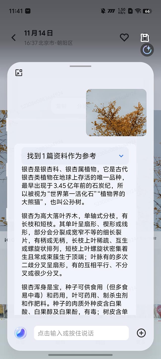 Neo10Pro评测