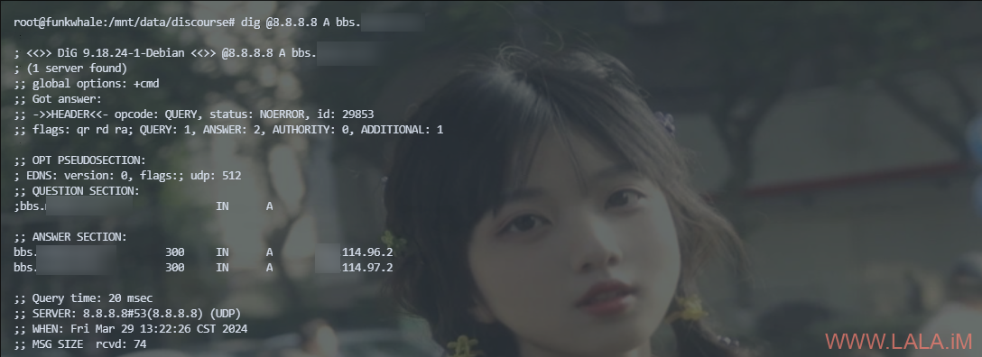 遷移Discourse到新的服務器