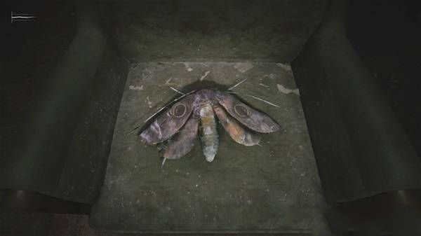 寂静岭2重制版飞蛾房间密码是什么