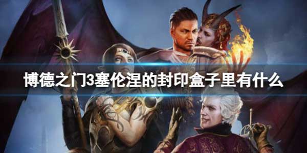 博德之門3塞倫涅的封印盒子物品介紹