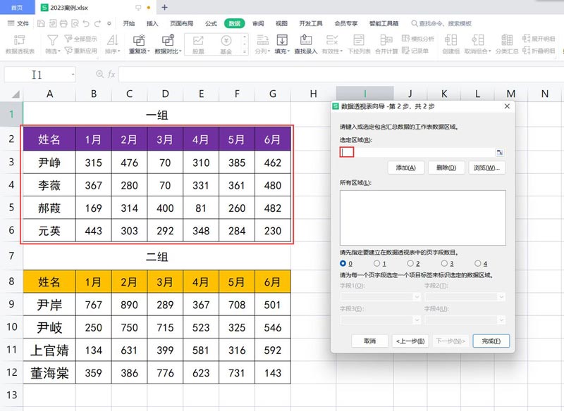 Excel数据透视表自定义页字段